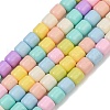 Handmade Lampwork Beads Strands LAMP-S070-06E-2