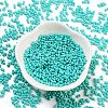 Baking Paint Glass Seed Beads X1-SEED-A033-05O-2