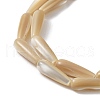 Natural Trochus Shell Beads PEAR-B002-01B-B-3