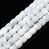 Natural Trochid Shell/Trochus Shell Beads Strands X-SSHEL-N034-121-B01-1