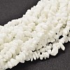 Chip Opaque Glass Beads Strands X-G-L454-03-1