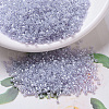MIYUKI Delica Beads X-SEED-J020-DB0241-1