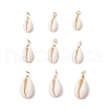 9Pcs Natural Cowrie Shell Pendants PALLOY-JF03700-03-1