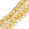 Natural Amber Beads Strands G-K308-C02-5mm-3