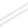 Beebeecraft 2 Strands Natural Freshwater Shell Beads Strands SHEL-HS0001-13-1