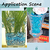 SOFPLATE 1000pcs Acrylic Rhinestone Pointed Back Cabochons GACR-SP0001-04A-5