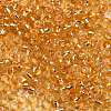 6/0 Transparent Glass Round Seed Beads X-SEED-J010-F6-22B-2