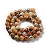 Natural Crazy Lace Agate Beads Strands G-E571-36B-3