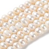 Natural Cultured Freshwater Pearl Beads Strands PEAR-E018-40-1