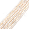 Natural Cultured Freshwater Pearl Beads Strands PEAR-I007-02I-01-2