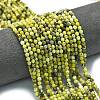 Natural Yellow Turquoise(Jasper) Beads Strands G-A260-A18-01-1