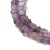 Natural Amethyst Beads Strands G-G085-B01-01-3
