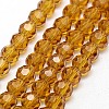 Glass Beads Strands EGLA-J042-6mm-04-1