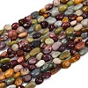 Natural Alashan Agate Beads Strands G-Q060-D19-01-2