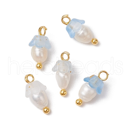 Flower Acrylic Charms PALLOY-JF03588-12-1