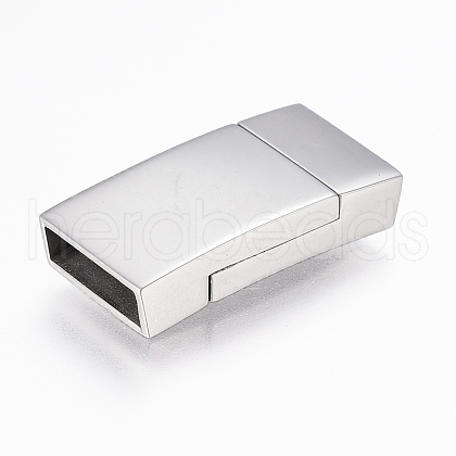 Tarnish Resistant 304 Stainless Steel Magnetic Clasps with Glue-in Ends STAS-F130-76P-1