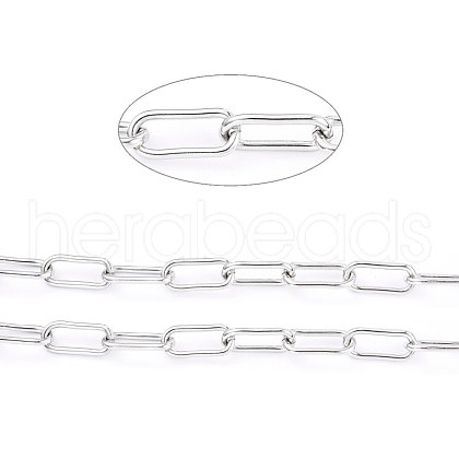Tarnish Resistant 304 Stainless Steel Paperclip Chains CHS-D027-02P-1