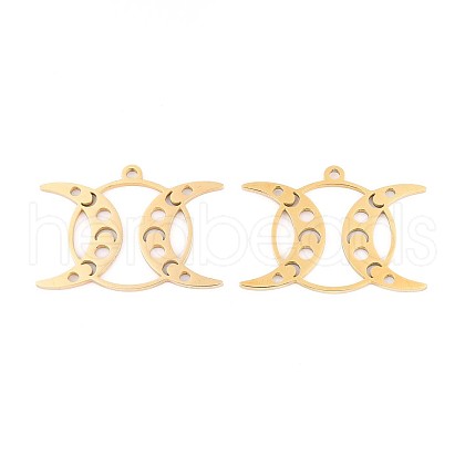 304 Stainless Steel Pendants STAS-N108-35G-1