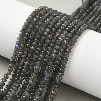 Natural Labradorite Beads Strands G-L622-B02-4x2mm-1