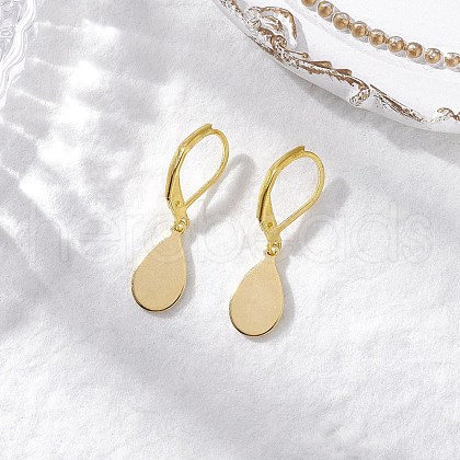 201 Stainless Steel Teardrop Leverback Earring EJEW-JE06396-1