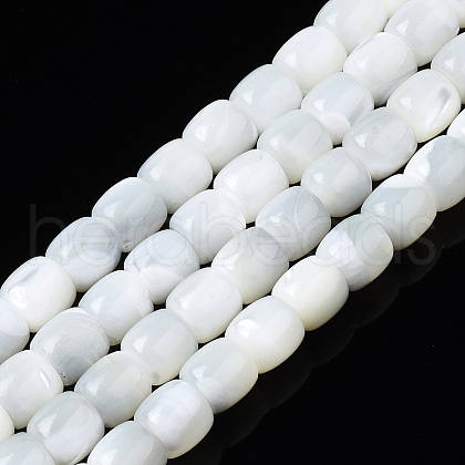 Natural Trochid Shell/Trochus Shell Beads Strands X-SSHEL-N034-121-B01-1