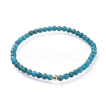 Natural Apatite Stretch Bracelets BJEW-JB04556-02-1