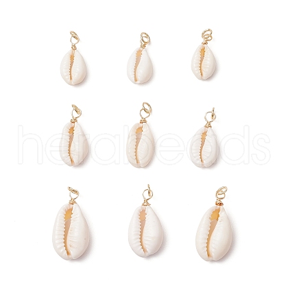 9Pcs Natural Cowrie Shell Pendants PALLOY-JF03700-03-1