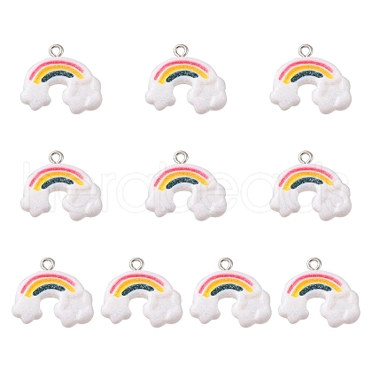 10Pcs Opaque Resin Pendants CRES-YW0001-08-1