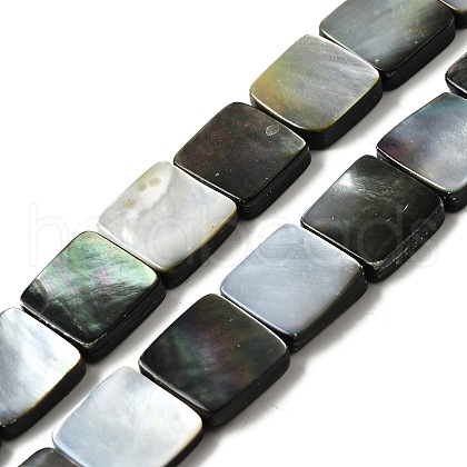 Natural Black Lip Shell Beads Strands BSHE-D300-07-15mm-1