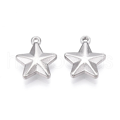 304 Stainless Steel Charms STAS-N109-143P-1