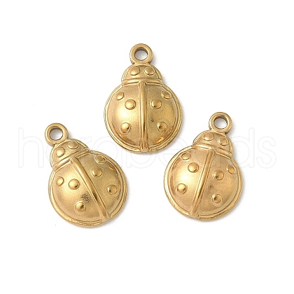 304 Stainless Steel Charms STAS-G354-01C-G-1
