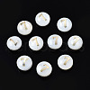 Natural Freshwater Shell Beads SHEL-N003-20-07-1