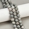 Natural Gemstone Beads Strands G-F792-C12-01-1