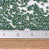 MIYUKI Delica Beads X-SEED-J020-DB2311-4