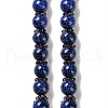 Handmade Lampwork Beads Strands LAMP-Q036-06B-1