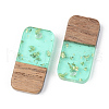 Transparent Resin & Walnut Wood Pendants RESI-S389-044A-B02-2