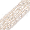 Electroplated Shell Pearl Beads Strands BSHE-C006-06A-1
