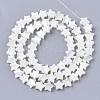 Natural Trochid Shell/Trochus Shell Beads Strands X-SHEL-T013-007A-01-2