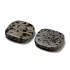 Natural Dalmatian Jasper Beads G-B050-04A-2