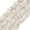 Natural Rainbow Moonstone Beads Strands G-F771-B03-01-2