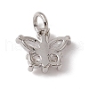 Brass Micro Pave Cubic Zirconia Charms ZIRC-F132-12P-2
