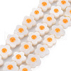 Natural Freshwater Shell Beads Strands with Enamel SHEL-T018-29B-2