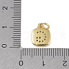 Rack Plating Brass Micro Pave CLear Cubic Zirconia Charms KK-E110-14G-G-3