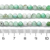 Natural Chrysoprase Beads Strands G-G195-A02-03-5