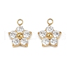 304 Stainless Steel Micro Pave Cubic Zirconia Charms STAS-B088-01G-02-1