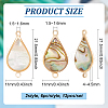 BENECREAT 12Pcs 2 Colors Shell Paper Resin Connector Charms KK-BC0012-72-2