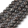 Natural Labradorite Beads Strands G-G0003-C03-6mm-1