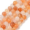 Natural Red Agate Beads Strands G-A248-A06-03-2