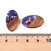 Transparent Resin and Walnut Wood Pendants RESI-T057-03F-3
