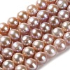 Natural Cultured Freshwater Pearl Beads Strands PEAR-E018-21-1